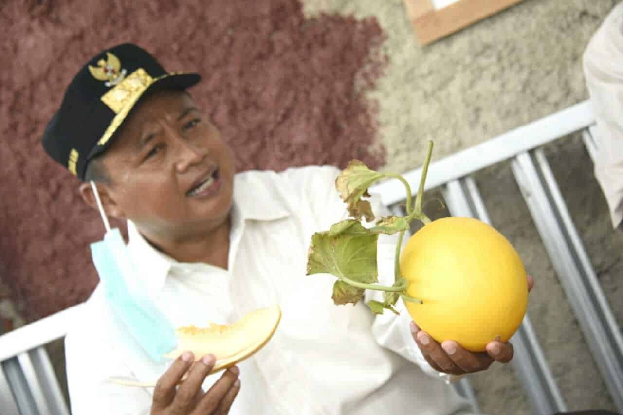 Wakill Gubernur Jawa Barat, Uu Ruzhanul Ulum